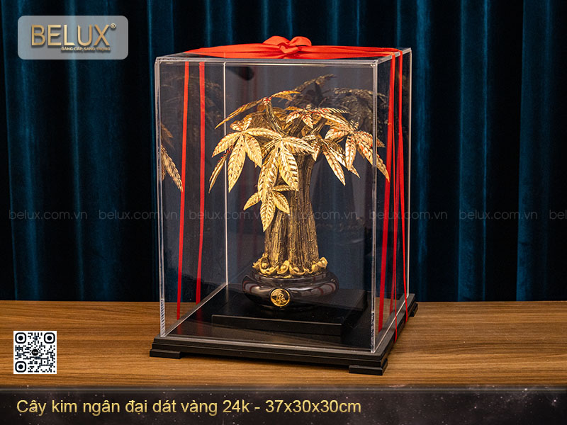Chậu kim ngân dát vàng 24k cỡ to